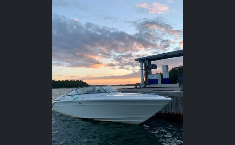 Sea Ray Pachanga-kuva-2